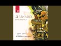 Serenade for String Orchestra in C Major, Op. 48 : III. Elegia. Larghetto elegiaco