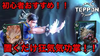 【TEPPENデッキ紹介！！】初心者おすすめ！！簡単おくだけ気功掌！！