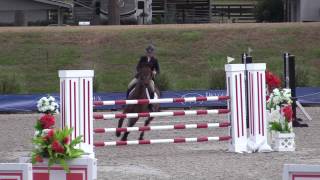 Video of Exite ridden by Cassandra Kahle from ShowNet!