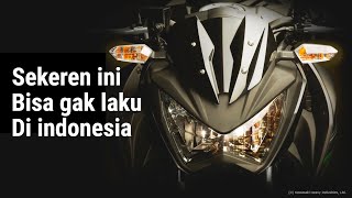 Duo Naked Sekeren ini Bisa Gagal Total gak laku di indonesia !! Kawasaki Z250 dan Z250SL !