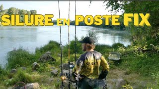 Pêche du SILURE en poste Fix (cassant)