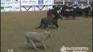 Desires Little Rex - 2007 NCHA Open Futurity Reserve Champion