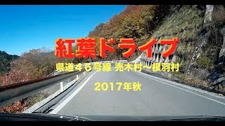 2017年秋 南信州紅葉ドライブNo1