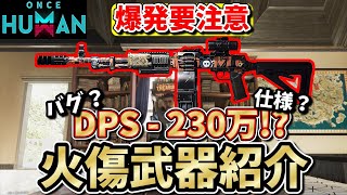 【#OnceHuman】バグ？仕様？DPS200万越えたんだけどｗｗそれと火傷武器強いです【爆発要注意/フューリアス/ワンスヒューマン】