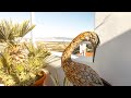 casa alta mojacar pueblo video