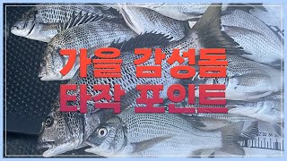 가을 감성돔 낚시 슬슬 시작되네요 / 타작하기 좋은 포인트