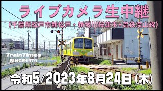 【ライブカメラ】生中継／千葉県松戸市新坂川桜並木／2023年8月24日【桜並木・流鉄流山線リアルタイム配信】