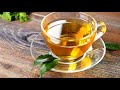 Easy Homemade Green Tea | Nasreen kitchen & vlogs