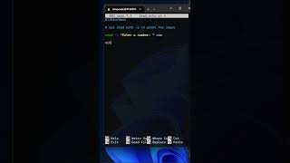 Bash shell scripting USER INPUT and ECHO for beginner to advanced #bash #bashscripting #tutorial