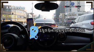 [초보운전Vlog]가 아닌 1년 반 만에 생존신고🙋‍♀️| 앞으로의 미니랑람쥐는??