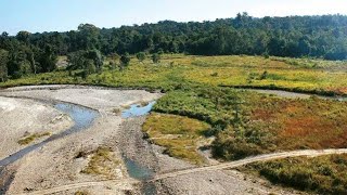 पक्के बाघ अभयारण्य (Pakke Tiger Reserve) भारत के अरुणाचल प्रदेश राज्य के पक्के-केसांग ज़िले