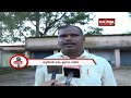 reporter special ganja farming in kantamal of boudh dist kalingatv