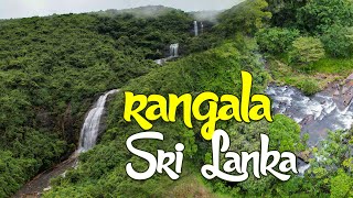 Rangala - Sri lanka - Rain forest - Central Province - Teldeniya