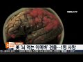 美 래프팅 시설서 뇌 먹는 아메바 검출…1명 사망