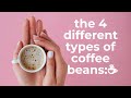 the 4 different types of coffee beans:☕️ #shorts