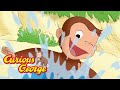 George's Trip to the Beach 🐵 Curious George 🐵 Kids Cartoon 🐵 Kids Movies 🐵 Videos for Kids