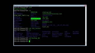 How to backup and restore specific tables in Control M Server Database