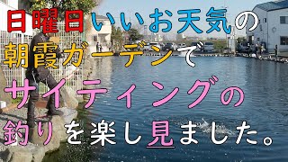 日曜日いいお天気の朝霞ガーデンでサイティングの釣りを楽し見ました。