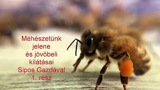 Méhészetünk jelene és jövőbeli kilátásai Sipos Gazdával 1. rész