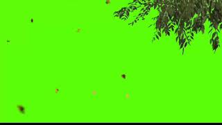 tree falling with plants green screen effect (chroma key)video.720p
