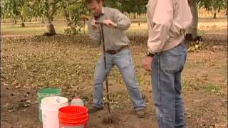 Taking Soil Samples Part  3: Taking  Samples in the Orchard