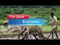 जल्द आ रहा …the gaww express 😇 news channel foryou foryoupage shorts thegawwexpress