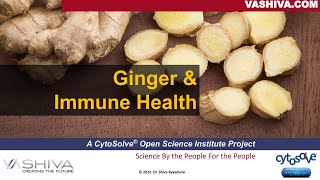 Dr.SHIVA: Ginger \u0026 Immune Health - A CytoSolve® Analysis