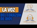 VIGILIA SABADO 28 DE SEPTIEMBRE 2024 | IGLESIA LA VOZ DEL CORAZÓN DE DIOS