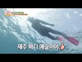 ‘15년 차 수영인’ 김혜윤 입수 전 완벽한 국민체조 몸풀기 ㅣ정글의 법칙 jungle ㅣsbs enter.