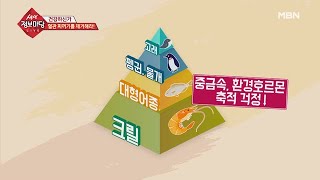 혈관을 청소하는 혈관 청소부 '크릴 오일'