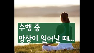 448. 수행 중 망상이 일어날 때 (2024. 6. 18)