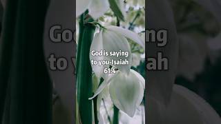 God is saying to you-‭‭Isaiah‬ ‭61‬:‭4‬ ‭