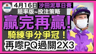 [小梁論馬]4月16日沙田泥草日賽 | 贏完再贏! | 騎練爭分爭冠! | 再嚟PQ過關2X3 | 賽馬KOL-小梁@KleagueworkshopKen