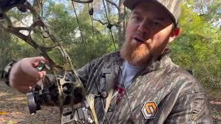 Hoyt AX 2 29 review