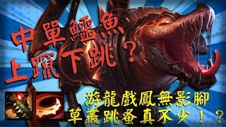 【Renekton lol 中單 雷尼克頓】中單鱷魚，上躥下跳？游龍戲鳳無影腳，草叢跳蚤真不少！？┃Renekton VS Fiora