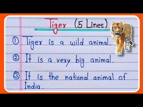 What is a 5 line?