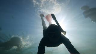 freedive @ Mamutik Island, Kota Kinabalu Sabah