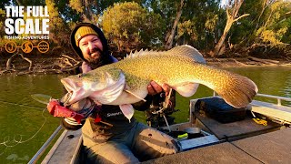 Murray Cod On The Surface, New Location Produces The Fish | The Full Scale