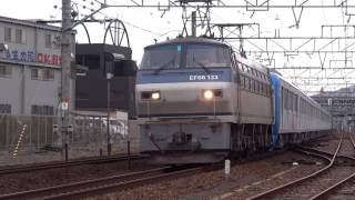 8862レ【東京メトロ15000系甲種輸送】EF66 133号機　清水～興津