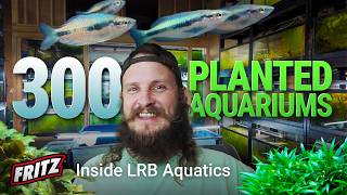 These 300 Aquariums Pay for ALL His Bills!