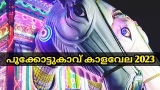 Pookkottukavu Kaala Vela 2023 | പൂക്കോട്ടുകാവ് കാളവേല 2023 | #appuzrocky #kalavela