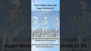 Nr. 11: Top 5 Augen-Fakten, die dich staunen lassen – So genial ist dein Sehsinn!