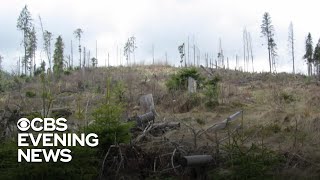 UN issues stark warning on climate change