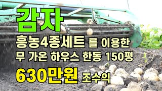 감자 흥농4종세트를 이용한 무 가온 하우스 한동 150평 630만원 조수익