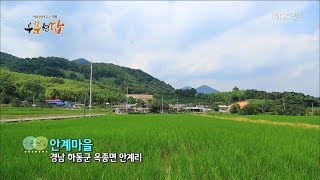 [우문현답] 113화. 돈이 되는 작물만 심지 왜 조금만 농사 지어요? - 경남 하동군 옥종면 안계마을 (2017.08.09,수)