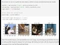 Lesson 1: Practical Deep Learning for Coders