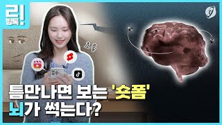 [리빙톡] 틈만 나면 보는 '숏폼'…뇌가 썩는다?