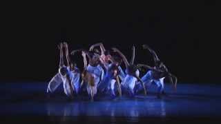 Ailey II: Wings by Jennifer Archibald