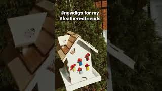 New digs for my feathered friends | Pretty little birdhouse | #youtubeshorts #shorts