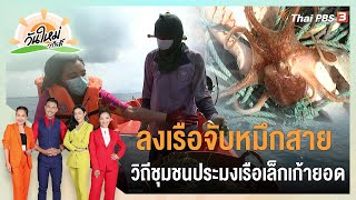 ลงเรือจับหมึกสาย วิถีชุมชนประมงเรือเล็กเก้ายอด : วันใหม่วาไรตี้